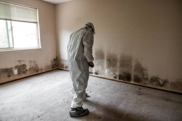 Best Commercial Mold Inspection  in North Lauderdale, FL